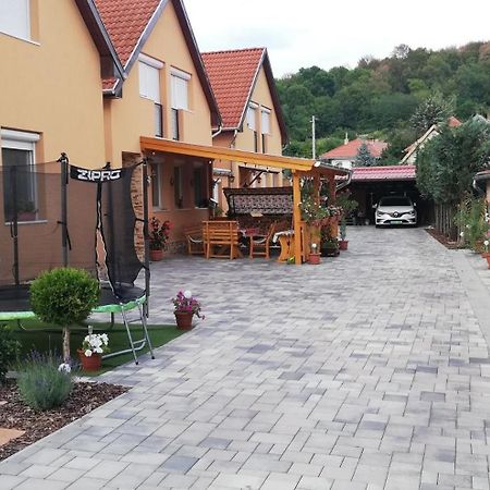 Agica Vendeghaz Villa Andornaktálya Exteriör bild